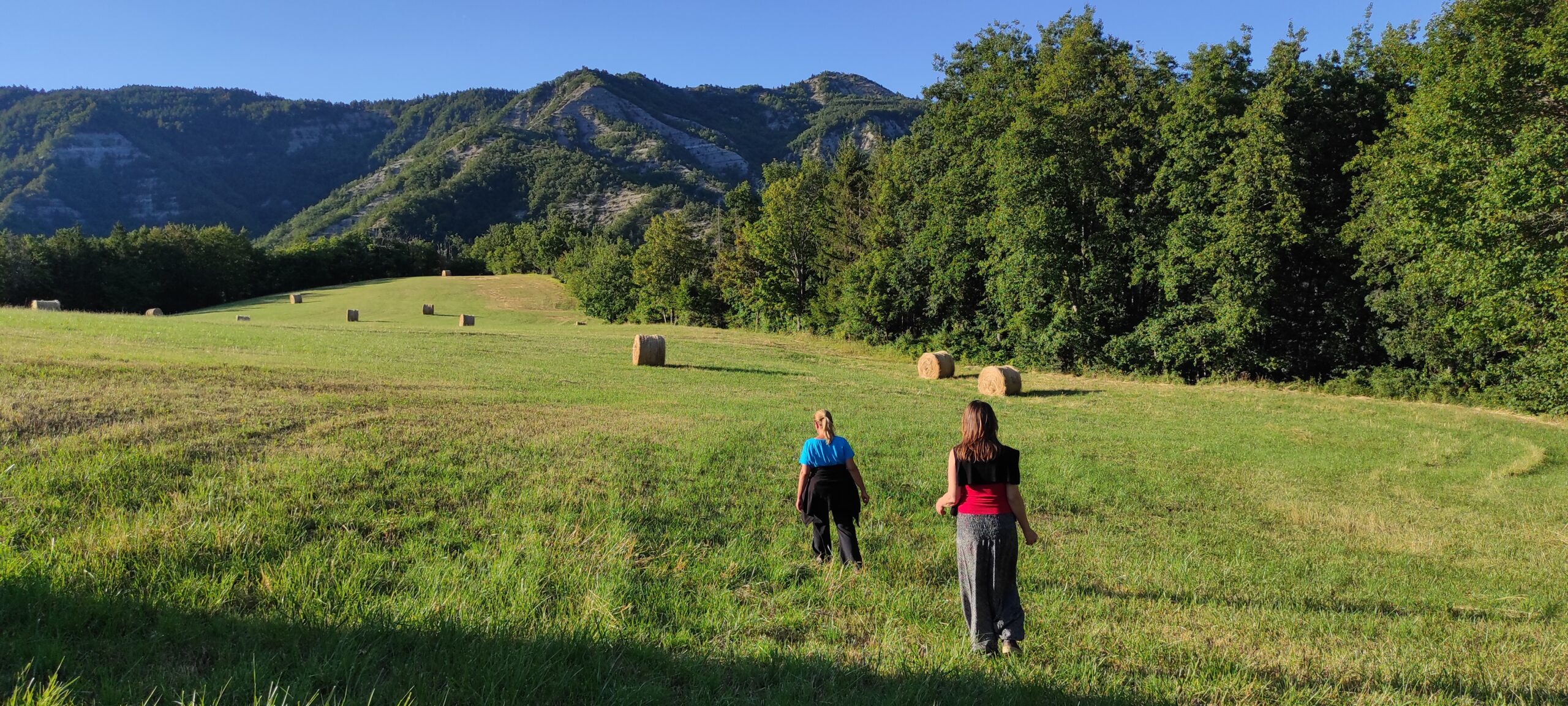 Scopri di più sull'articolo Donne in cammino